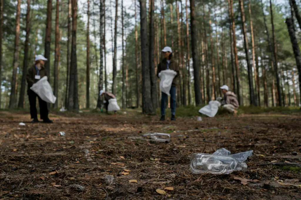 Impact of Plastic Pollution